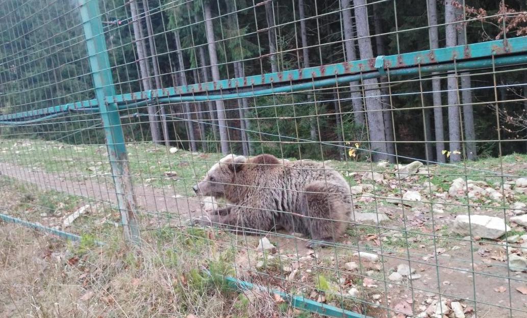 Філологи УжНУ подорожували до серця Карпат