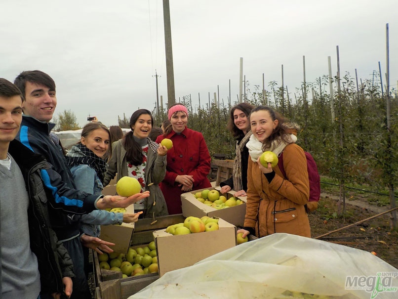 Студенти та викладачі кафедри соціології та соціальної роботи благодійно... збирали яблука