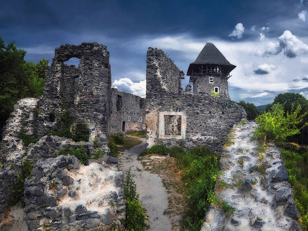 В Ужгороді поговорили про проблеми й перспективи реконструкції Невицького замку