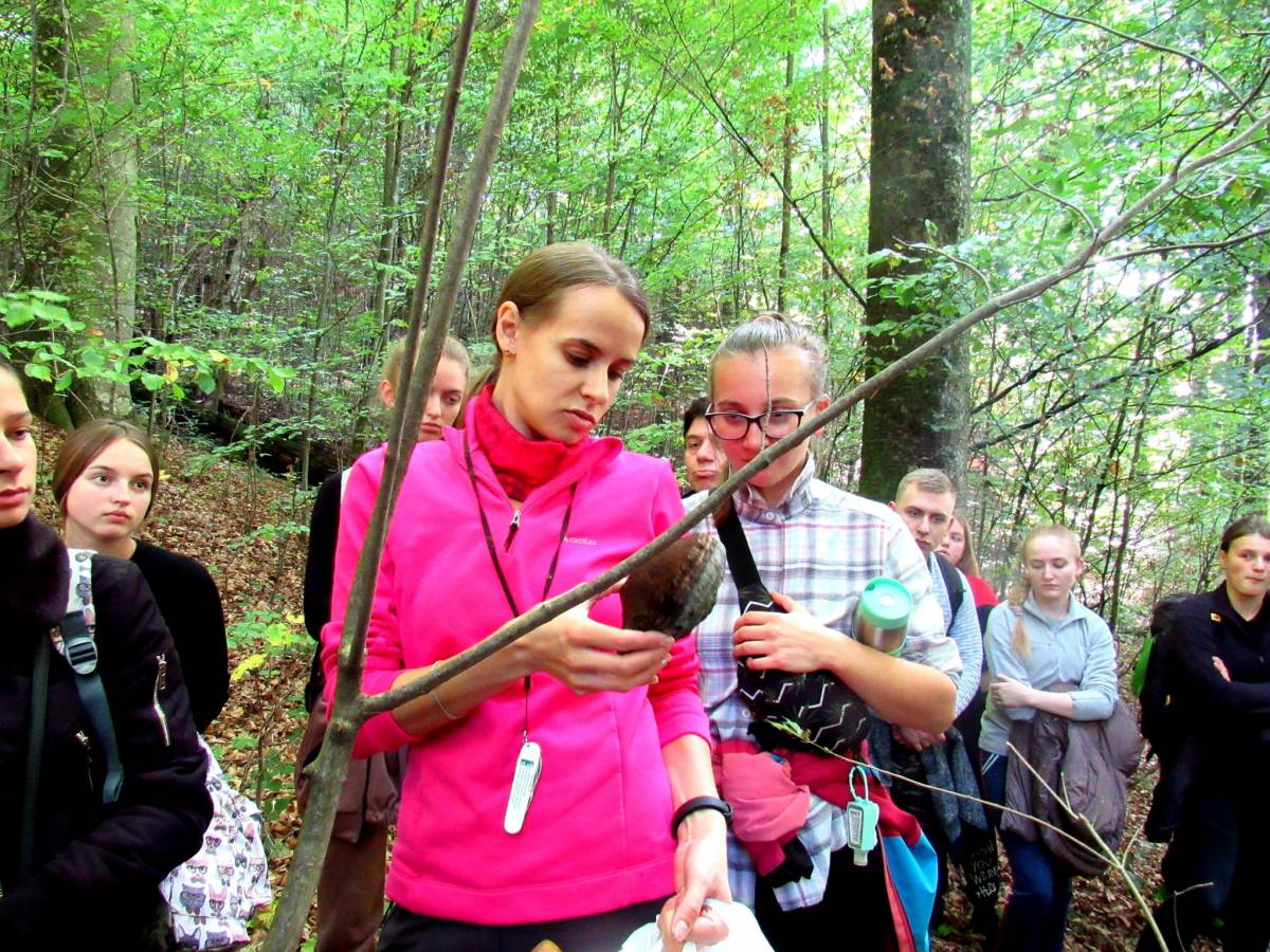 Студенти-біологи на практиці дізнавалися про роль мертвої деревини у лісі