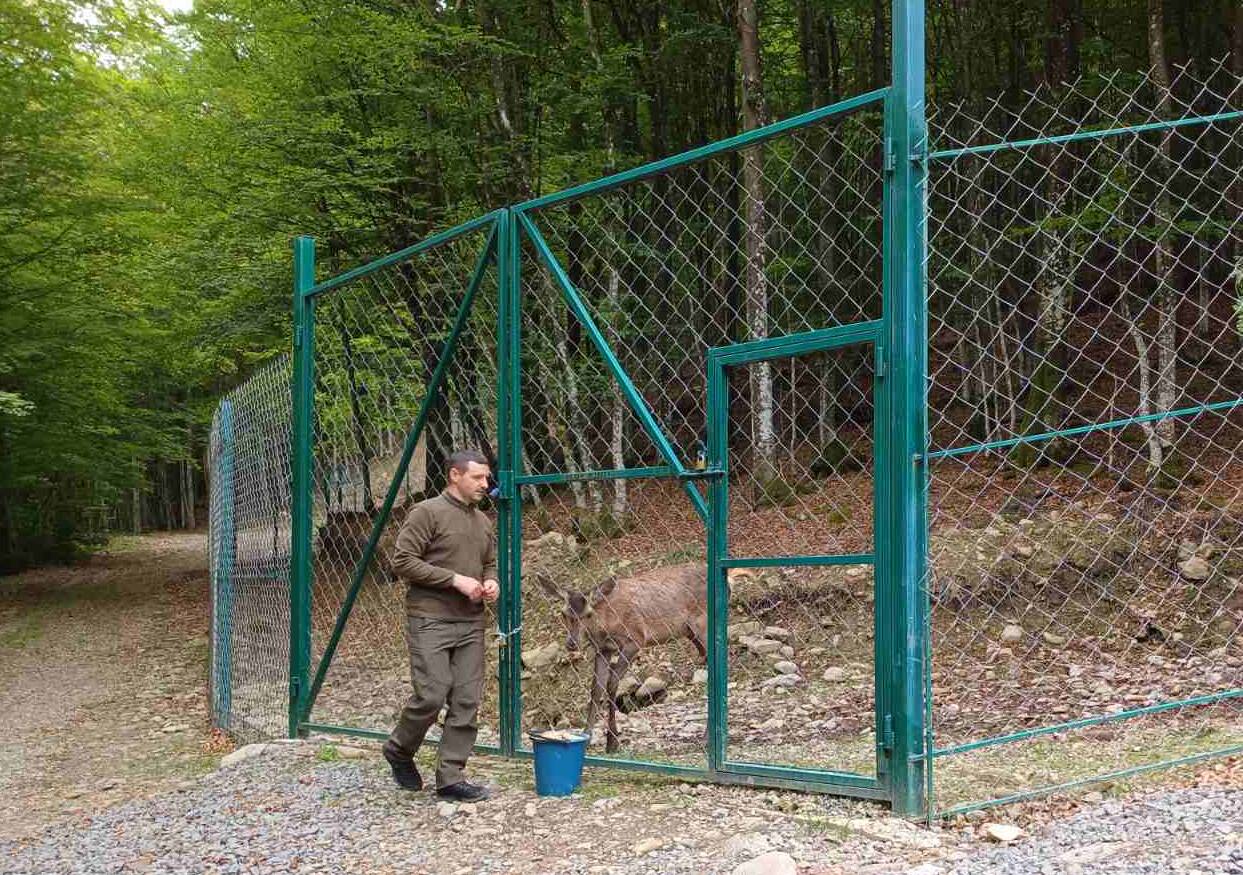 Студенти-біологи мали навчальну практику на біобазі «Колочава»