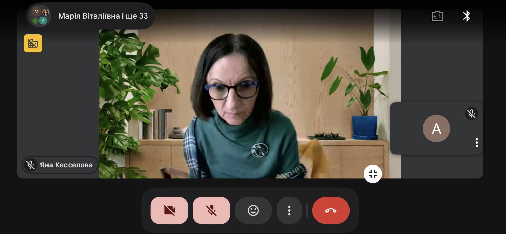 Яна Кесселова